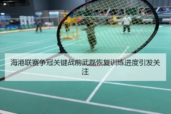 海港联赛争冠关键战前武磊恢复训练进度引发关注